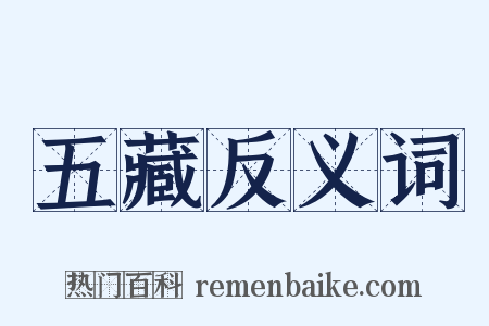 五藏反义词是什么意思的图片